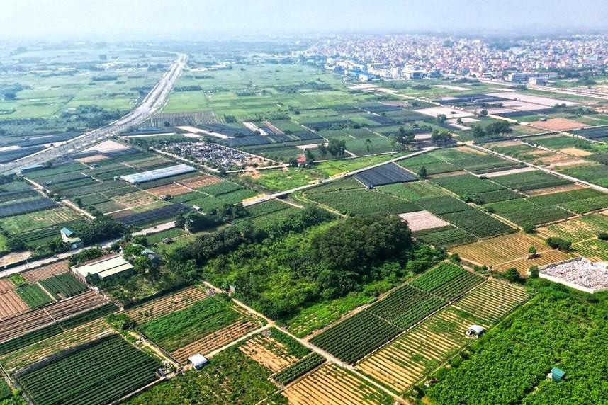 Hưng Yên đấu giá 178 suất đất, thấp nhất 10 triệu đồng/m2
